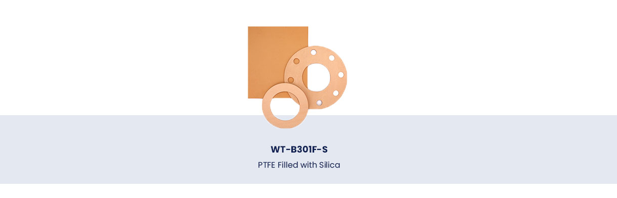 PTFE Filled with Silica